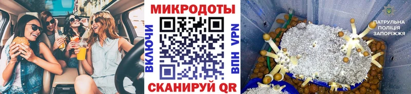 Купить закладки  Сурск  Галлюциногенные грибы мицелий 